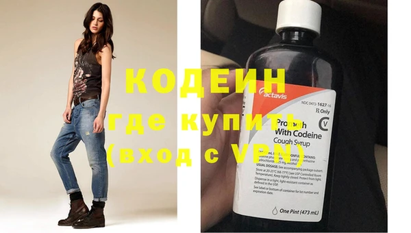 метадон Няндома