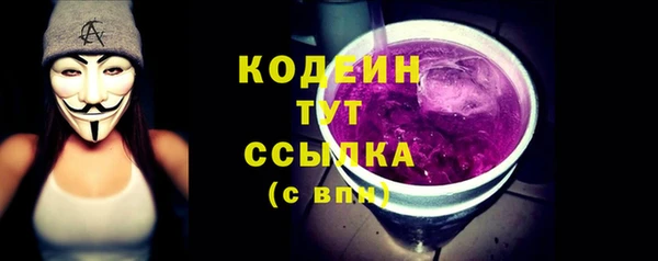 индика Нязепетровск